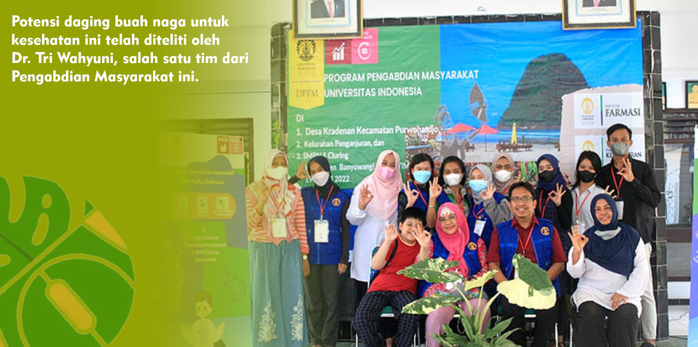 Farmasi dan Kedokteran UI Adakan Penyuluhan Penyakit Degeneratif dan Pembuatan Teh Herbal